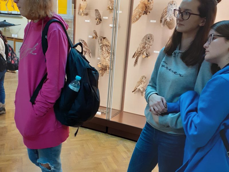 Lekcja biologii w Muzeum Zoologicznym UMCS