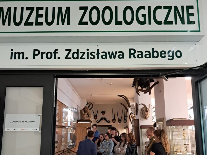 Lekcja biologii w Muzeum Zoologicznym UMCS