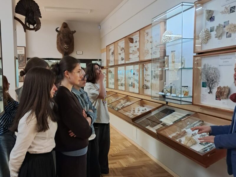 Lekcja biologii w Muzeum Zoologicznym UMCS