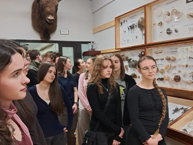 Lekcja biologii w Muzeum Zoologicznym UMCS