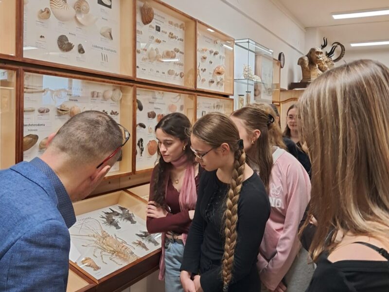 Lekcja biologii w Muzeum Zoologicznym UMCS