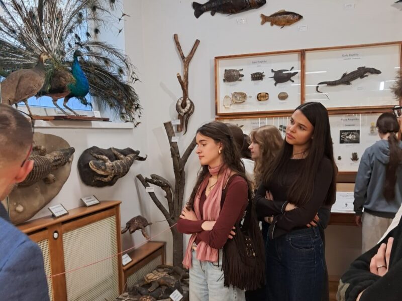 Lekcja biologii w Muzeum Zoologicznym UMCS