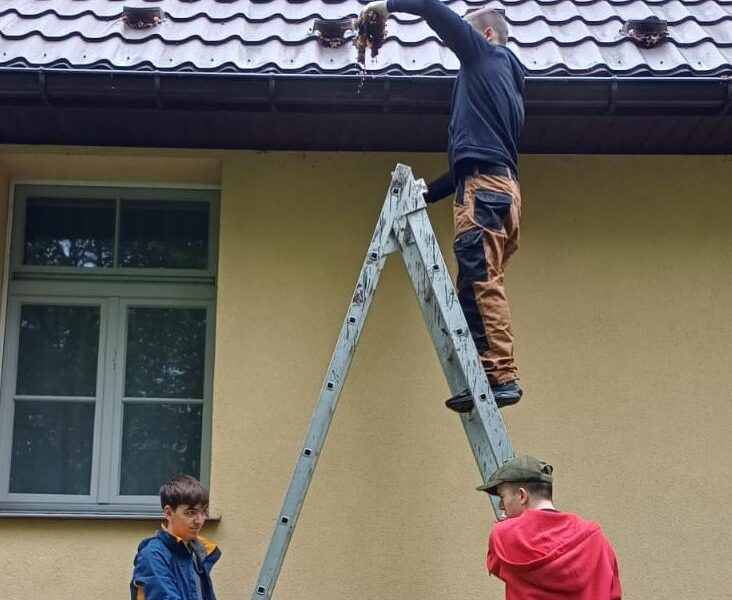 Wolontariat 2E w Kiełczewicach