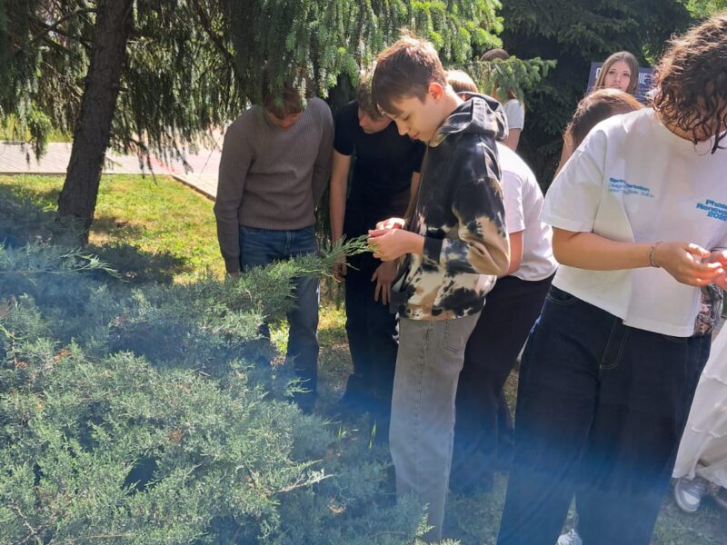 Rozpoznawanie roślin nagonasiennych w praktyce